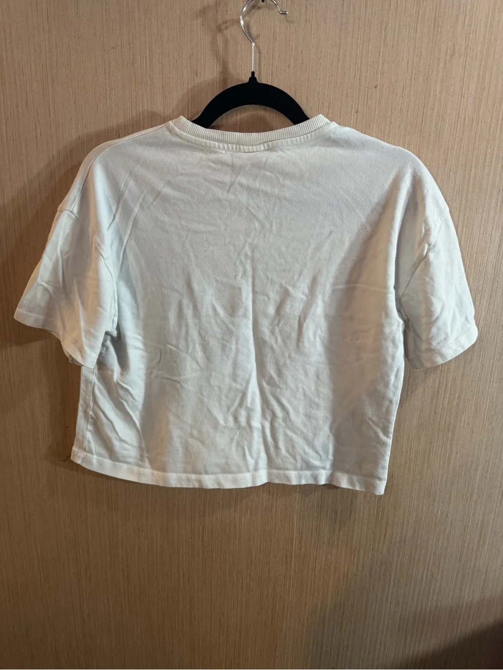 Zara white crop
